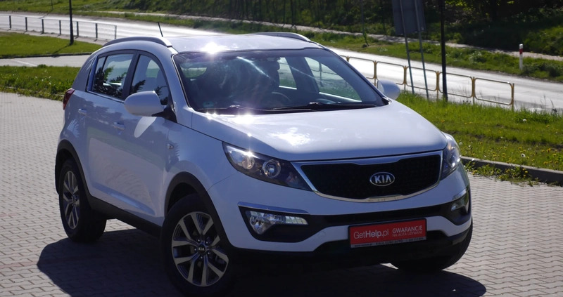 Kia Sportage cena 44900 przebieg: 187000, rok produkcji 2015 z Starachowice małe 631